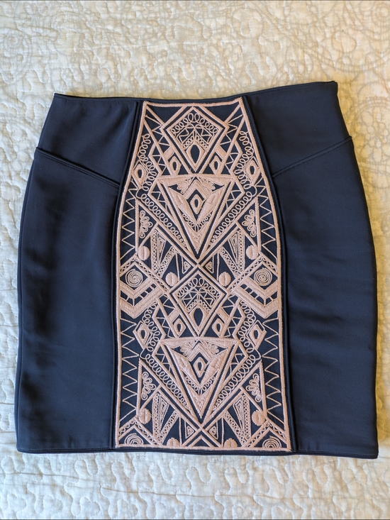 Tibi Dresses & Skirts - Tibi Pencil Skirt with Blush Embroidered Panel, ASO Serena Van Der Woodsen NWOT